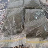 قرمه سبزی تازه