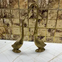 قوی برنجی
