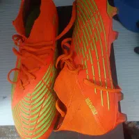 استوک پردیتور