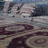 قالیشویی برتر خجسته (تخفیف ویژه)|خدمات نظافت|قم, قلعه صدری|دیوار