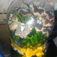 تعدادی پته|پرده، رانر، رومیزی|کرمان, |دیوار