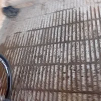 دوچرخه مارک kioto