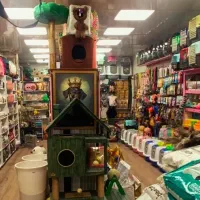 خاک گربه پد سگ کنسرو پامر حیوانات خانگی