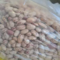 لوبیا چیتی اعلا