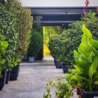 مجموعه تالار و رستوران اخلاقی|خدمات پذیرایی، مراسم|باقرشهر, |دیوار