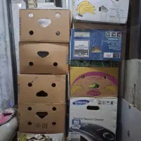 کارتن موز