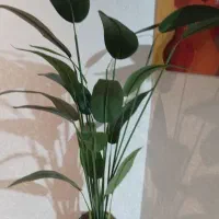 گل و گلدان پذیرایی