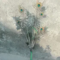 پر طاووس