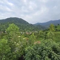 ۱۵۵ متری خوشقواره|فروش زمین و ملک کلنگی|رانکوه, |دیوار