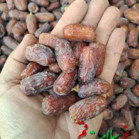 خرما پیارم اصلی اعلا سایز متوسط