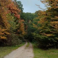 اجاره ویلا در جنگل بکر الندان|اجارهٔ کوتاهمدت ویلا و باغ|کیاسر, |دیوار