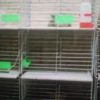 جفت دون فلزی