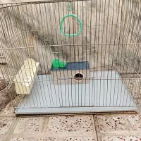 قفسه پرنده|لوازم جانبی حیوانات|مشهد, شهید بهشتی|دیوار