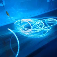 ریسه نو مخفی