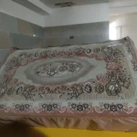 پشتی