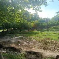 زمین-باغ-ویلا-باغچه-قابل-ساخت