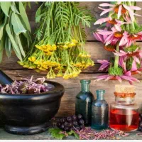 نتورک مارکتینگ جذب بازاریابان محصولات سلامت محور|استخدام بازاریابی و فروش|تهران, سهروردی|دیوار