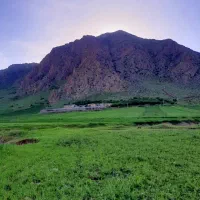 دامداری و ۳۰هکتار زمین کشاورزی دیم