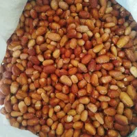 سنجد تازه