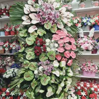 تاج گل طبیعی