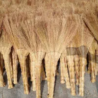 جارو دستی