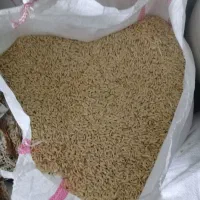 جو محلی