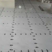 نصاب کاشی سرامیک|خدمات پیشه و مهارت|شاهین‌شهر, حاجی آباد|دیوار