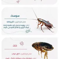 سمپاشی ساختمان و رستوران های واداره جات وخوابگاهای|خدمات نظافت|چابهار, |دیوار