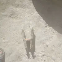 لوازم تراکتوروردیفکار کشت گستر وچراغ پراید و پیکان|قطعات یدکی و لوازم جانبی|الیگودرز, |دیوار