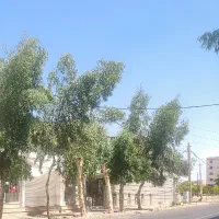 واحد 88متری واقع در 560هکتاری