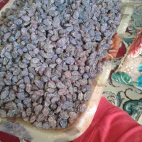 کشمش پاک شده مثل دسته گل زیاد تمیز