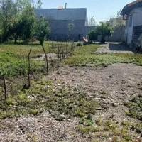 زمین فروشی در رشت|فروش زمین و ملک کلنگی|رشت, احمد گوراب|دیوار