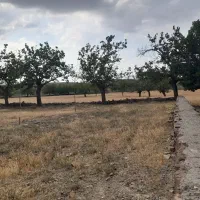 زمین گراخک شاندیز