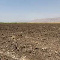 فروش-زمین-کشاورزی-روستای-کله-جوب-دره-شهر