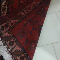 یک عددفرش دست بافت|فرش|بهارستان, |دیوار