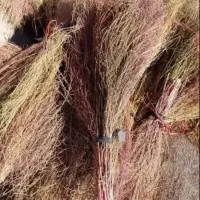 جارو هردسته 40هزار تومن قیمت هم مقطوع