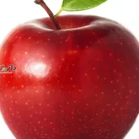 خرید سیب زیر درختی