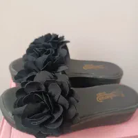 کفش|کیف، کفش، کمربند|شیراز, دکتر حسابی|دیوار