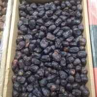 خرمای تازه (مضافتی،زاهدی)