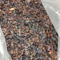 کشمش آبگیری|خوردنی و آشامیدنی|بیرجند, |دیوار