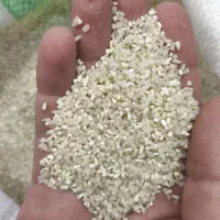 برنج فروشی به قیمت عمده|خوردنی و آشامیدنی|پرند, فاز ۱|دیوار