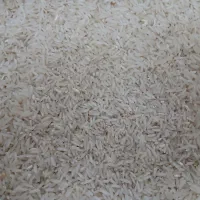 برنج طارم