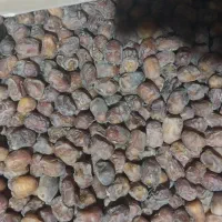 خرمای مرداسنگ