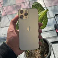 iPhone 13 Pro Max 256g