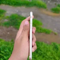 iPhone 7 gold 128|موبایل|آق قلا, |دیوار