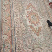 دو فرش شش متری|فرش|سهند, |دیوار