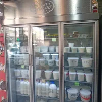 یخچال ایران صنعت دادگستر اصلی سه درب و دو درب