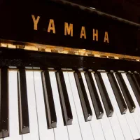 انواع پیانو اکوستیک|پیانو، کیبورد، آکاردئون|بندرعباس, |دیوار