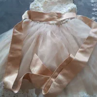 پیراهن مجلسی دخترانه|کفش و لباس بچه|بیرجند, |دیوار