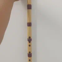 ساز نی